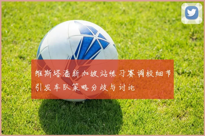 维斯塔潘新加坡站练习赛调校细节引发车队策略分歧与讨论